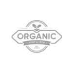 Container